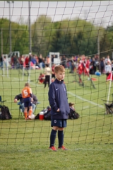 Toby_small