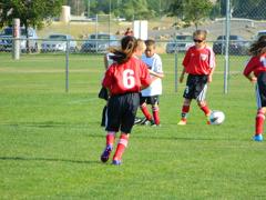 Dscn0782_small