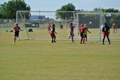 Dsc_0995_small