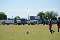 Dsc_1068_small