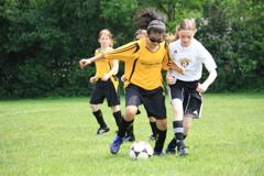Img_0793_small