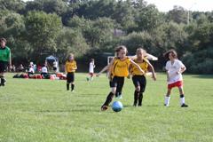 Img_1592_small