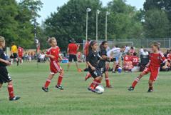 Dsc_1491_small