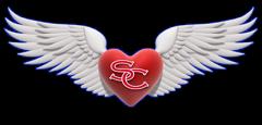 8th Annual Super Cooper Heart Run!