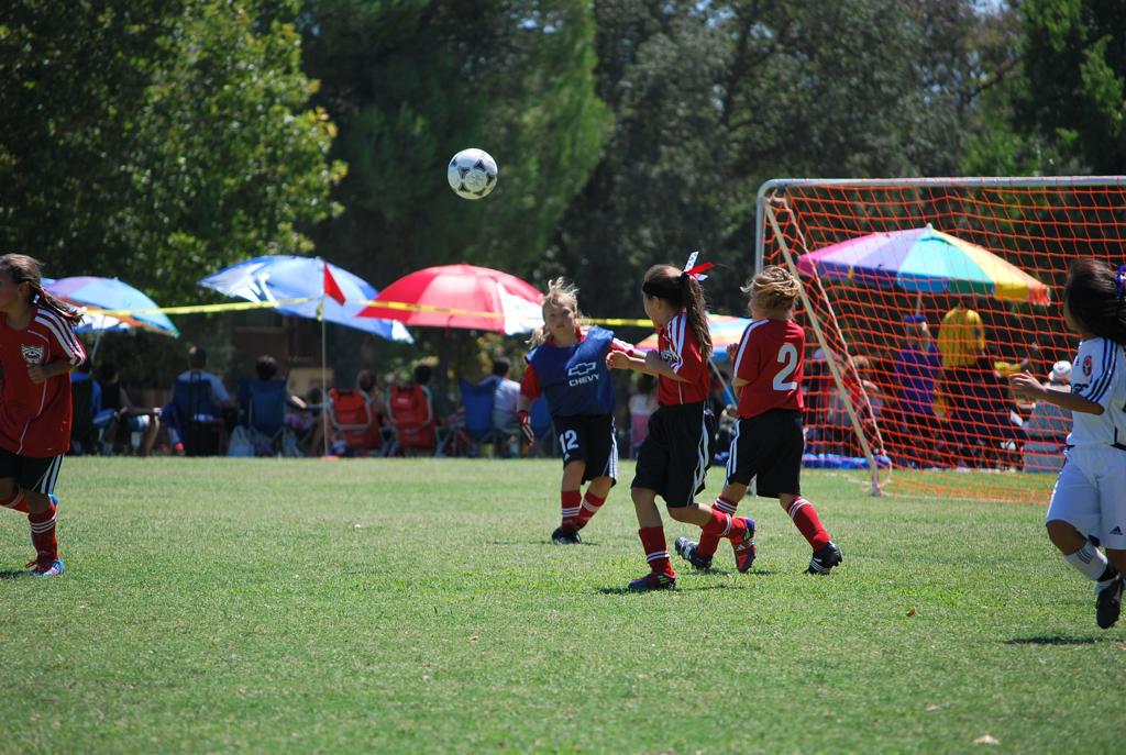 Dsc_0876_large