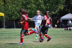 Dsc_0946_small