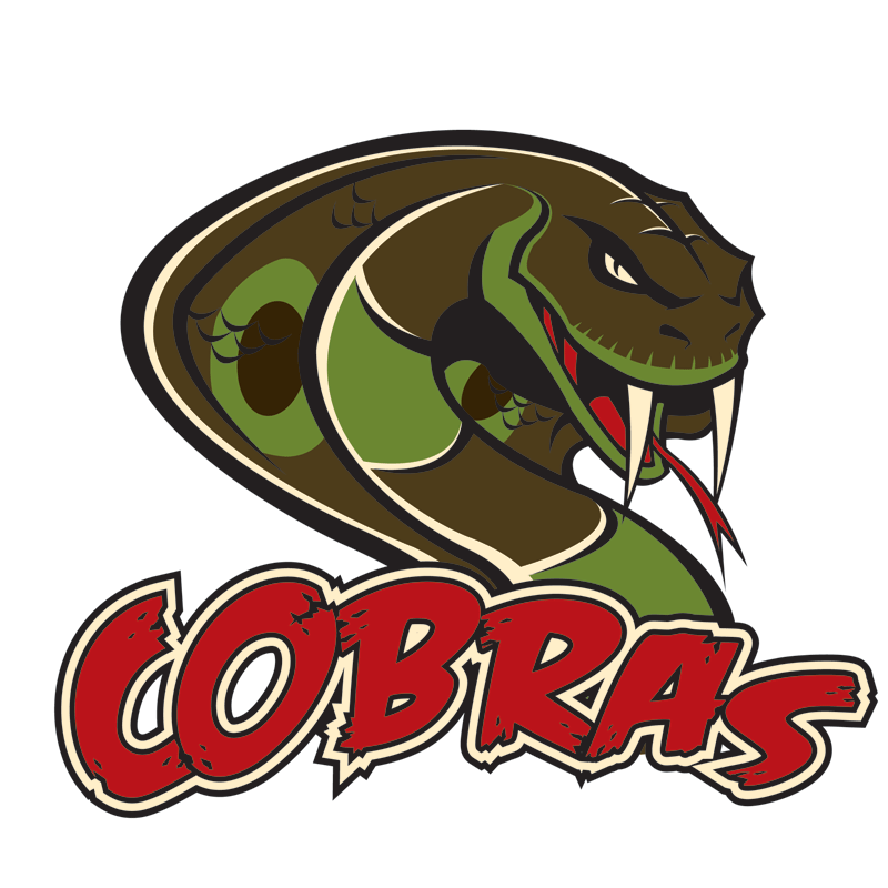 toronto logo design, mississauga logo design, oakville logo design, ontario logo design, corporate branding, logo designers in toronto