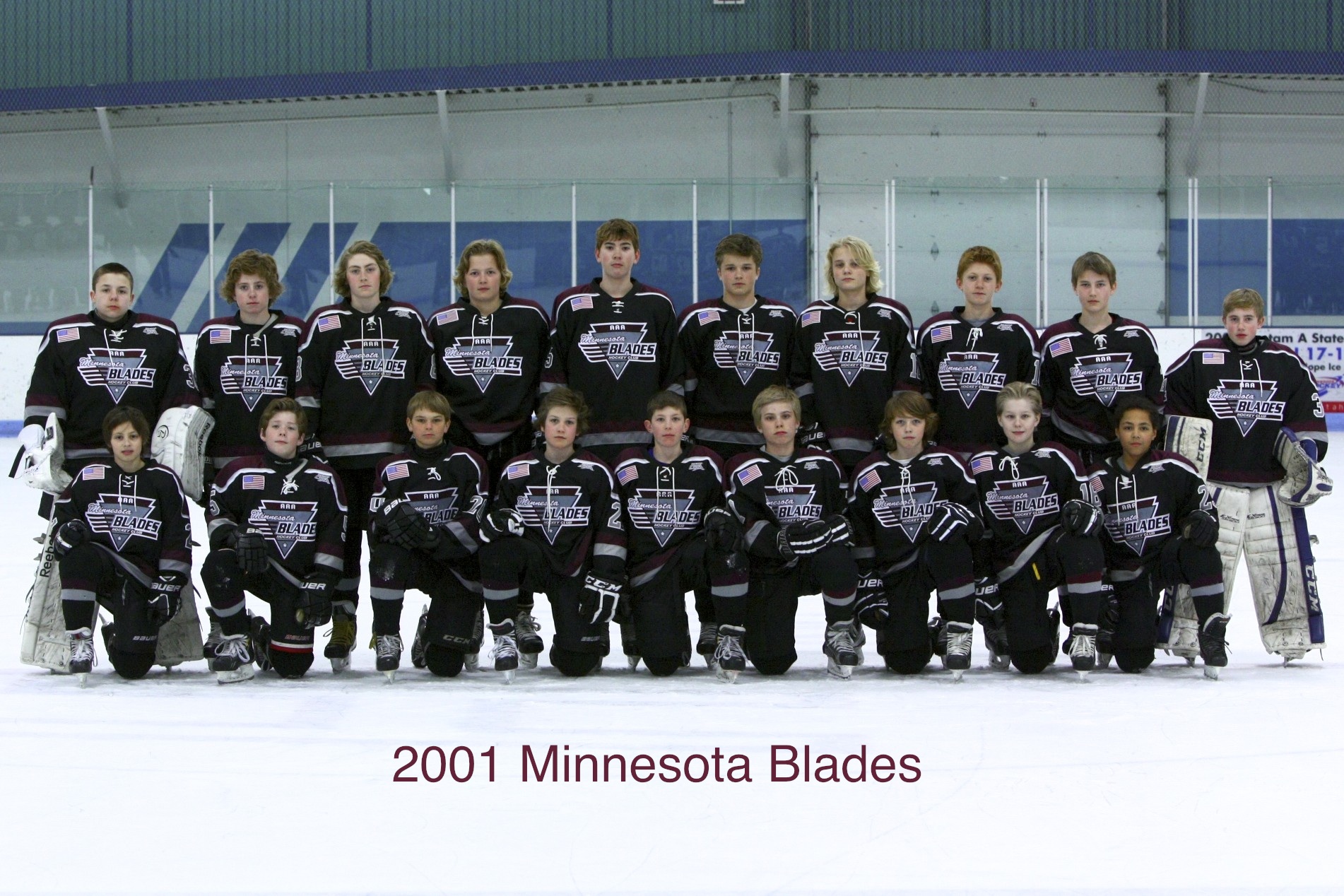 2001 Blades