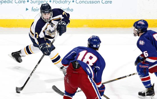 Top-seed Hermantown Blitzes Spring Lake Park In 1A Quarterfinals Top-seed Hermantown Blitzes Spring Lake Park In 1A Quarterfinals