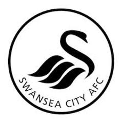 Swansea_City2_small.jpg