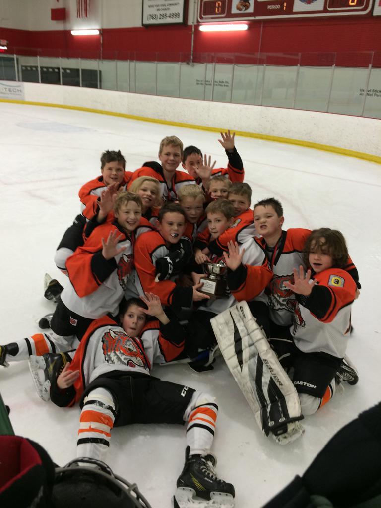 Delano Area Youth Hockey Association