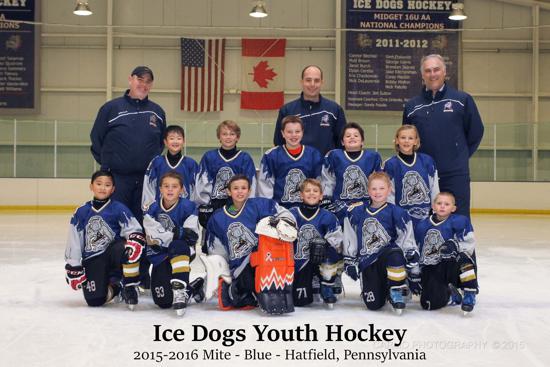 dogs hockey dogs youth hockey dogs hockey dogs youth hockey