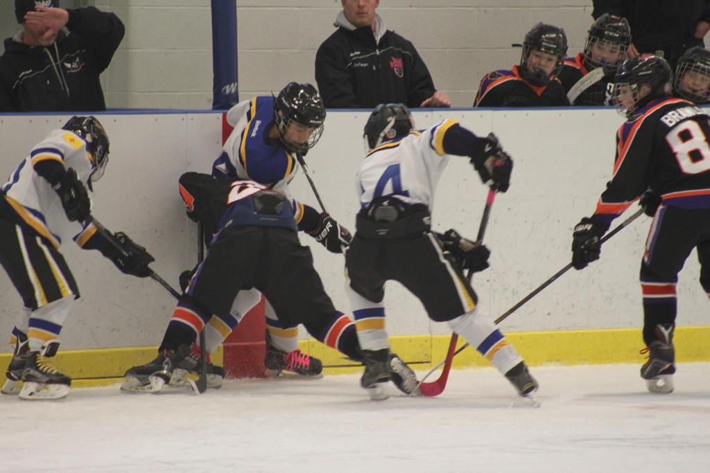 New Mexico Warrior Hockey