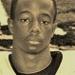 Shs_wells_2011_b_small