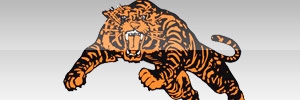Away Team Logo