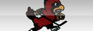 Away Team Logo