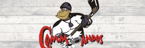 Home Team Logo