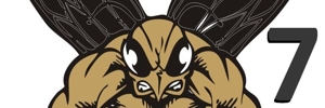 Away Team Logo