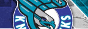 Away Team Logo