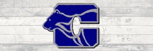 Away Team Logo