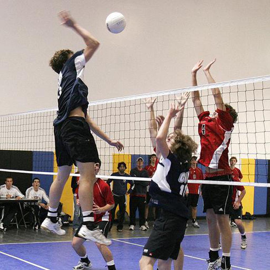 NoVA Boys Volleyball