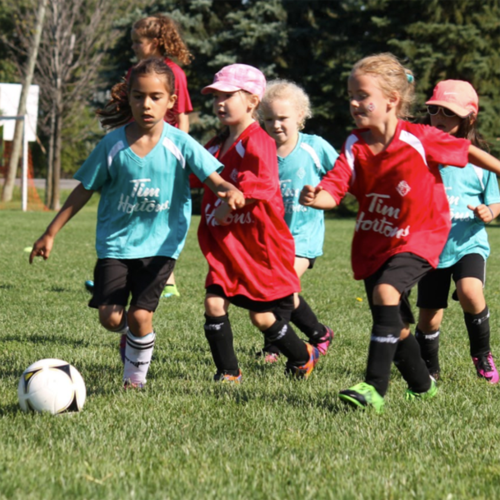 Dragon soccer ottawa