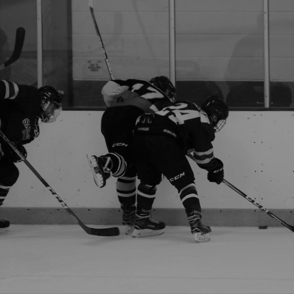 Spring Hockey Clinics