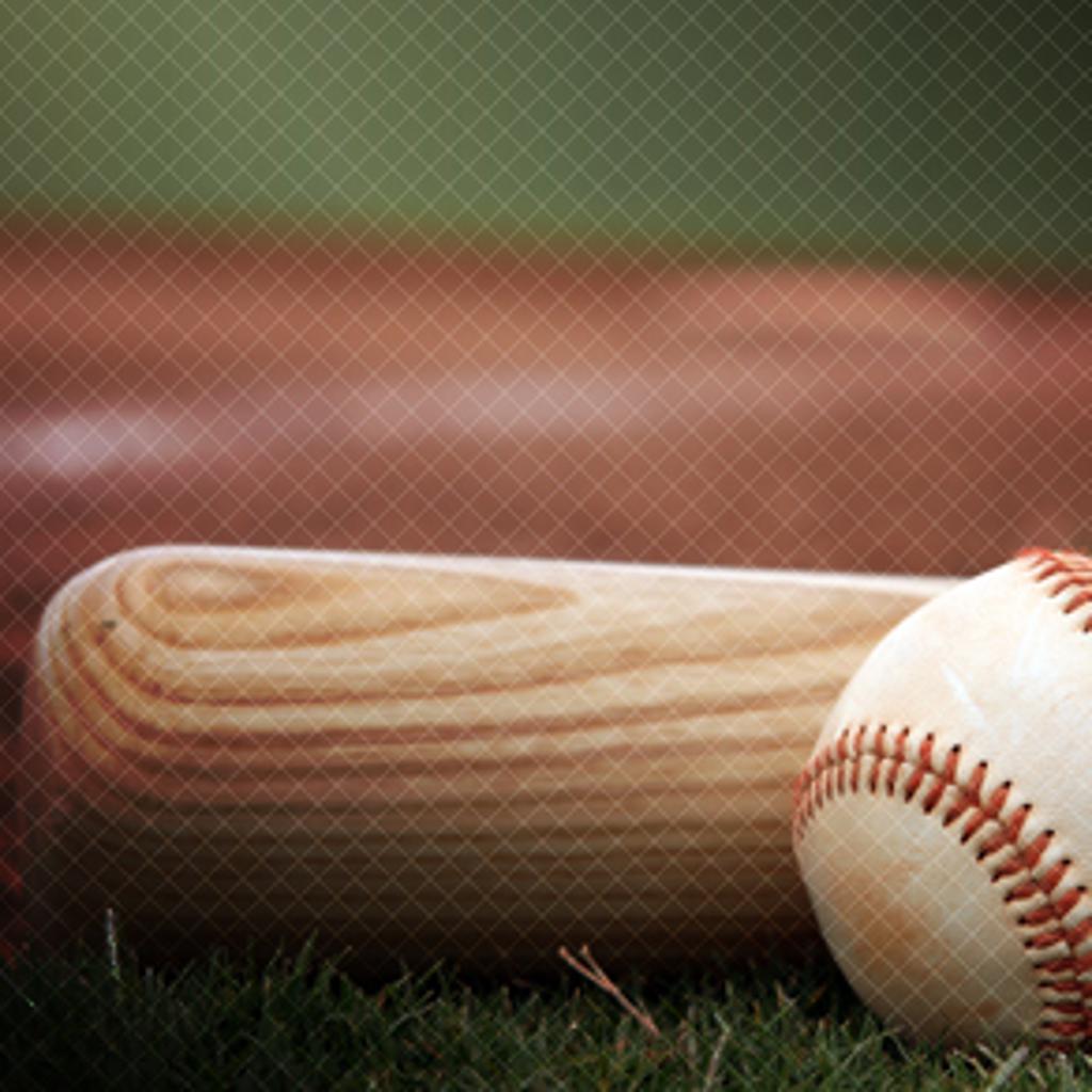 Pinellas County Youth Baseball