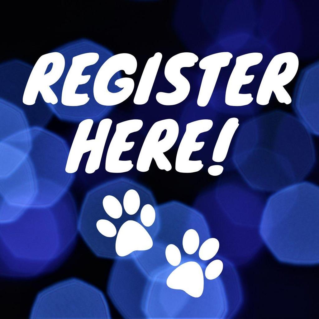 White Plains Youth Athletic Organization