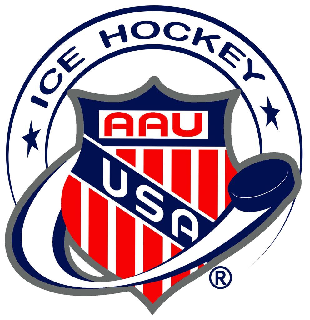 michigan-amateur-youth-hockey-league