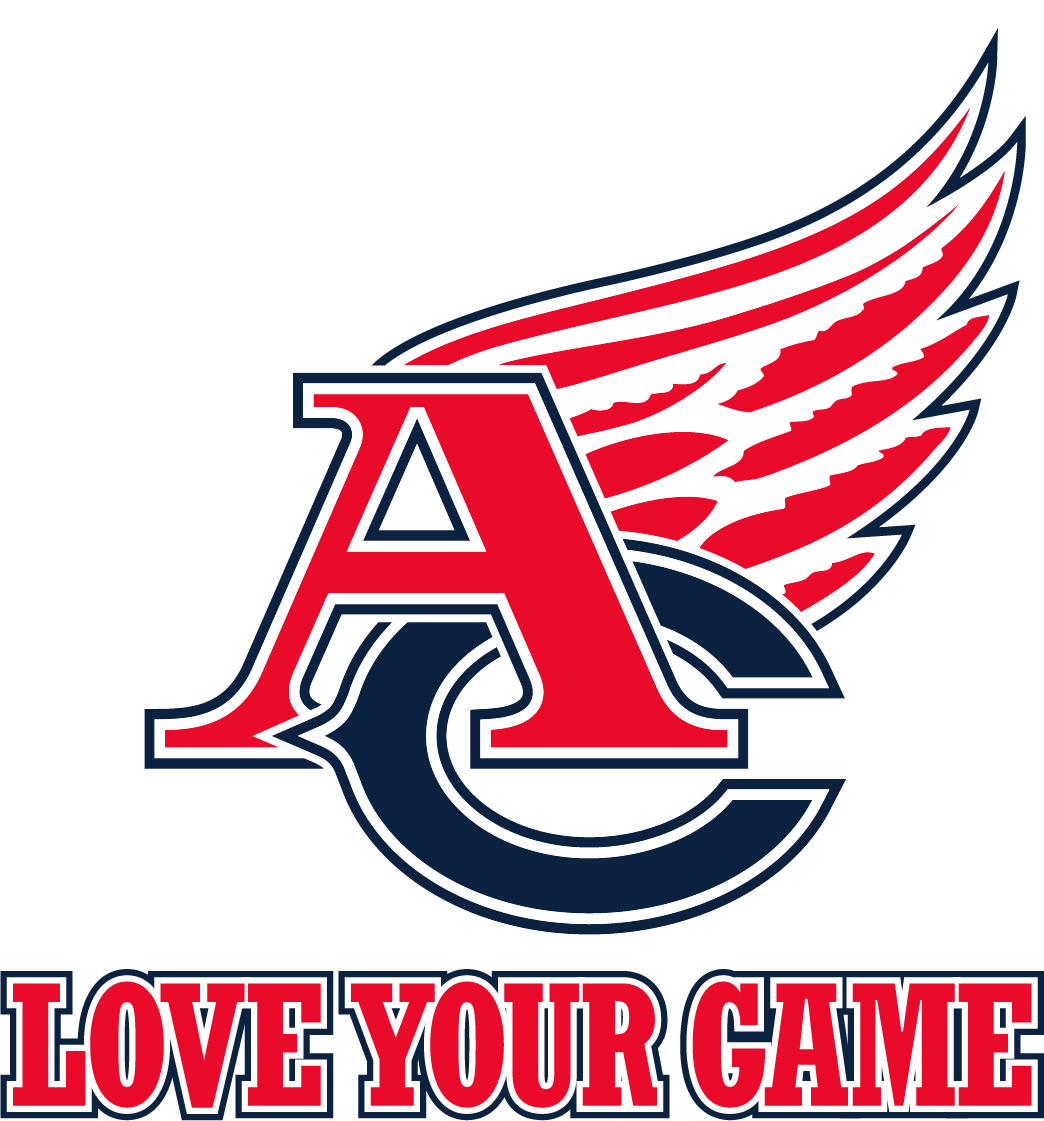 Wings Logo