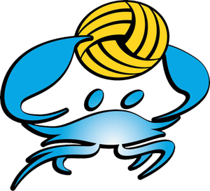 Annapolis Volleyball Club logo