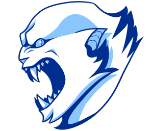 Minnesota Yeti Girls Lacrosse