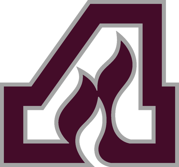 Anoka Area Hockey Association