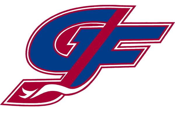 Эмблемы хоккейных клубов. Хоккейные логотипы. Логотипы хоккейных клубов. Эмблема хк. Логотипы хоккейных клубов России