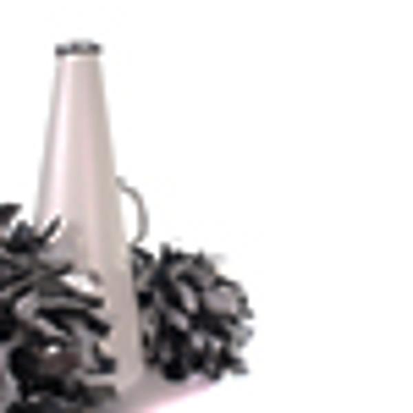 Cheerleading Fundraiser