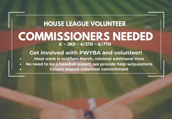 Learn more about the Commissioner position