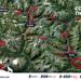 The 2025 SPAR Swiss Epic Route is Here! Get ready for a journey that excites, challenges, and inspires. 