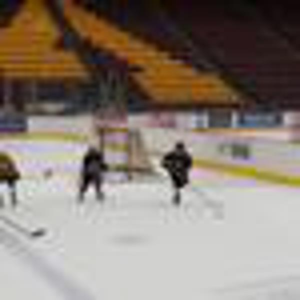 8 Myths of Mite Hockey