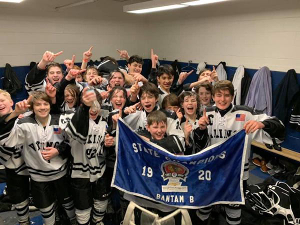 vikings hockey jersey