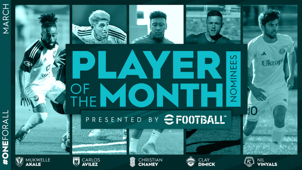 Stunning Player Of The Month Nominees Revealed Picture Nature Stunning Player Of The Month Nominees Revealed Picture Nature