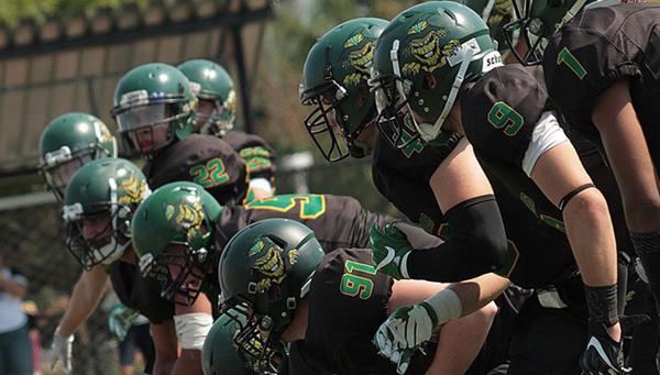 Off Season Forecast Valley Huskers