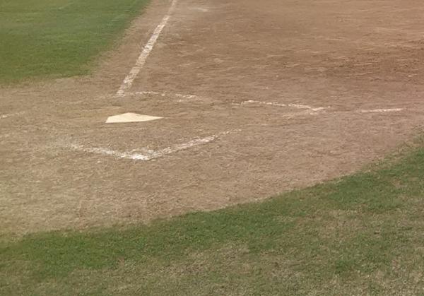 Baseball Playoffs Begin