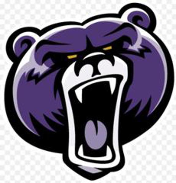 Bellevue University Youth Basketball Camp