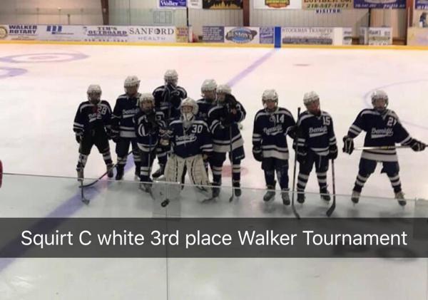 sault amateur hockey association Sault amateur hockey association