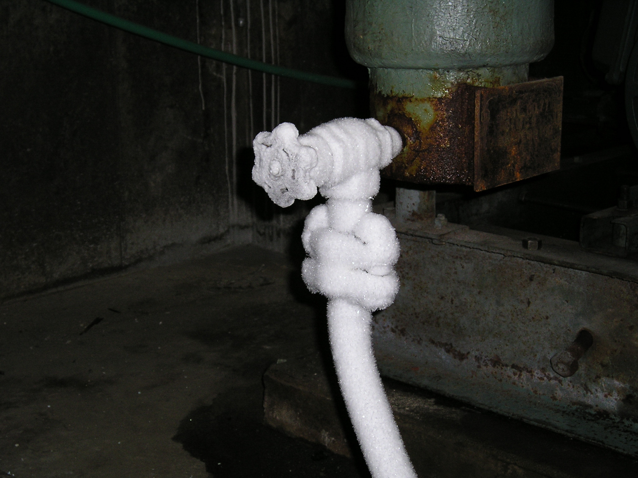 Demo Pics Photos Essex Youth Hockey Association