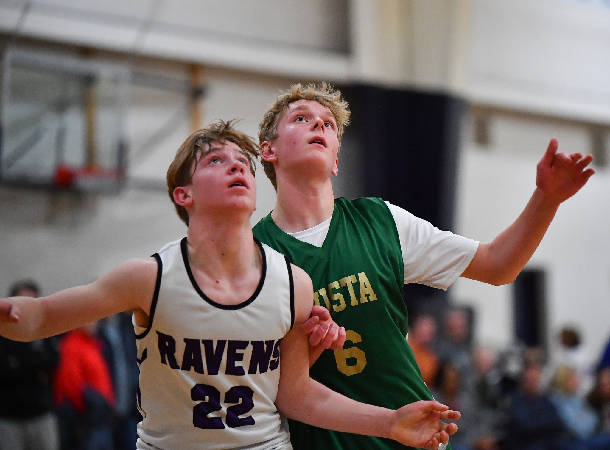 Mountain Vista Gold Crown Basketball