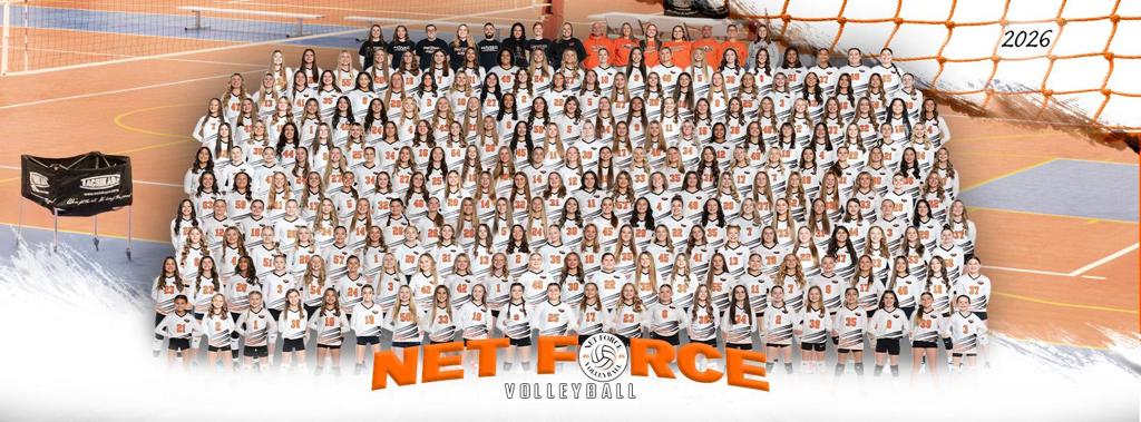 Net Force
