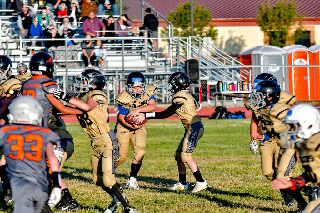 Falcons 2020 Photos Top of Texas Youth Football