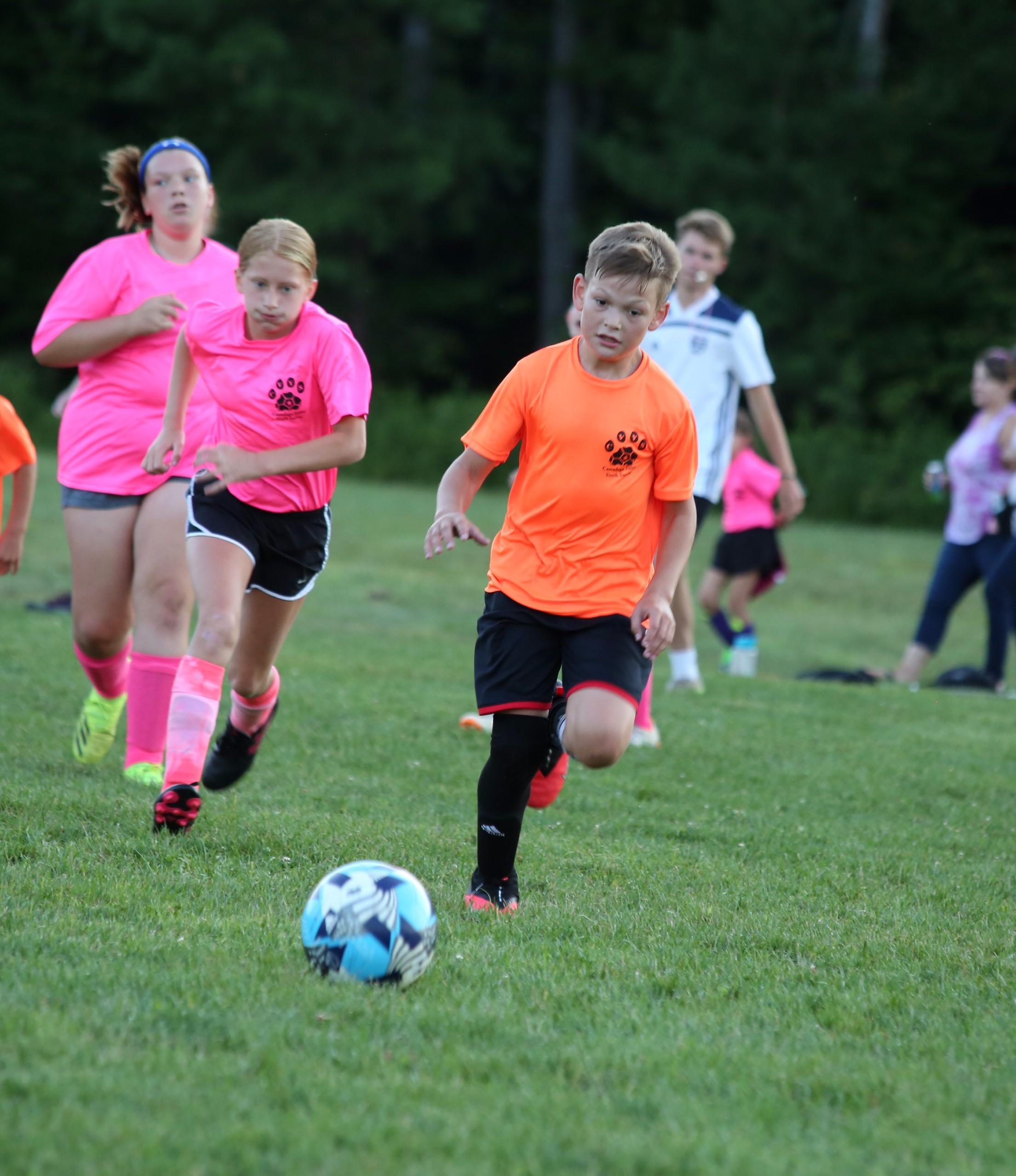 Cassadaga Valley Youth Soccer League
